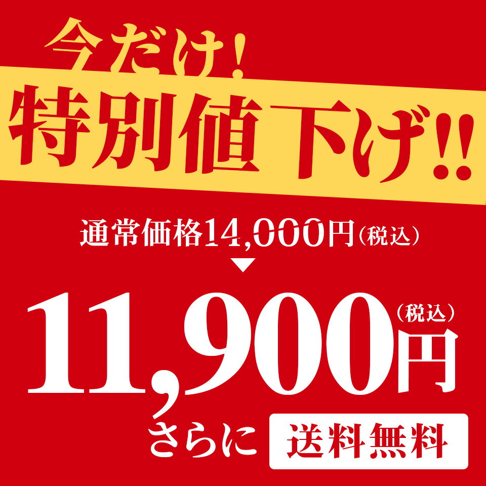 【特別価格！】明太子 かねふく 辛子明太子1.6kg (L〜2Lサイズ無選別) 無着色 一本物 旨だれ4個付き 送料無料 のし包装可 ／明太子 冷凍 食品 海鮮 辛子明太子 めんたいこ 贈り物 贈答用 贈答品 手土産 御礼 御祝 内祝い お取り寄せグルメ 博多直送【公式ストア】 2