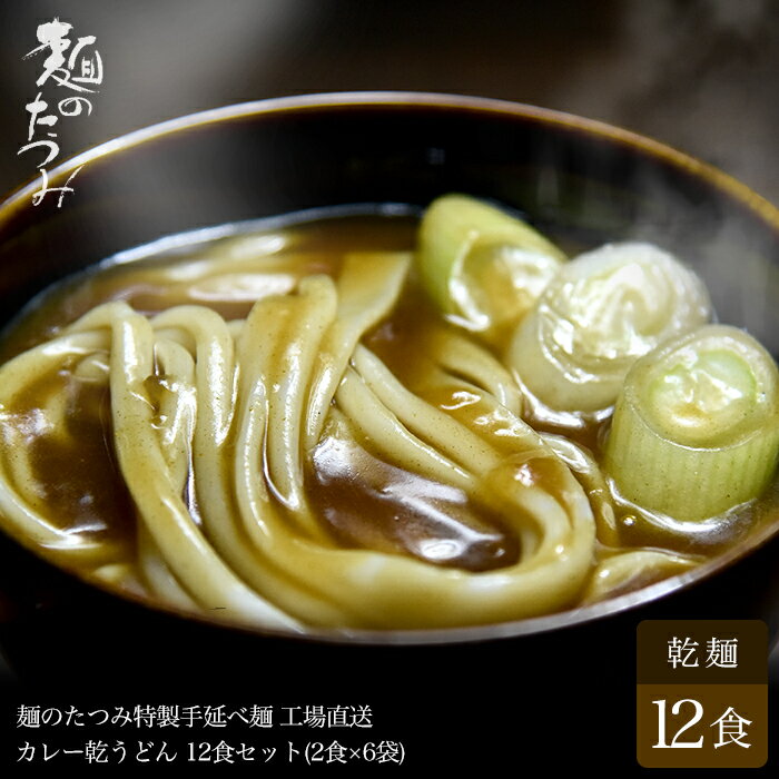 たつみ麺店　手延べカレー乾うどん×6袋 お歳暮 お中元 うどん 手延べ 手延べうどん 乾燥 乾麺 安城 和泉 名物 名古屋 名古屋名物 名古屋飯 名古屋めし 贈り物 ギフト 麺 めん 麺類 まとめ買い 敬老の日 母の日 父の日