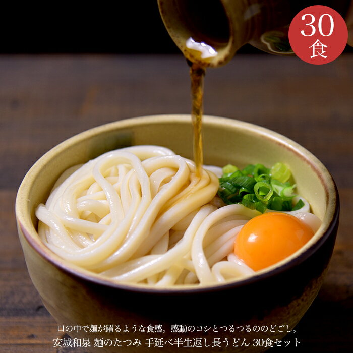 うどん（お中元向き） たつみ麺店　手延べ半生長うどん3人前×10袋入り 【常温保存】 お歳暮 お中元 うどん 手延べ 手延べうどん半生 半生返し 半生戻し 安城 和泉 名物 名古屋 名古屋名物 名古屋飯 名古屋めし 贈り物 ギフト 麺 めん 麺類 まとめ買い 敬老の日 母の日 父の日(rdnu10)