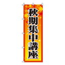 【のぼり旗】秋期集中講座 0270033IN 業務用 のぼり のぼり旗 sh