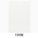05034 抗菌ing 19×13cm 100枚入(3)