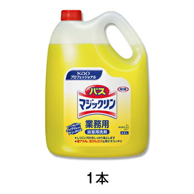 【ブラックフライデー！ポイント最大10倍】バスマジックリン　4．5L