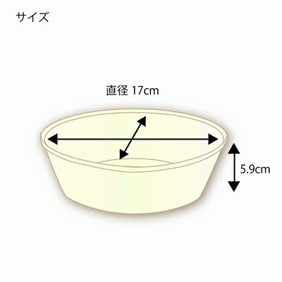 【紙皿】業務用バガスどんぶりC850 ND170 50枚入