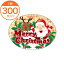 ڥ롦٥ۡC0467MerryXmas300