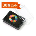 \プラケース入り/SDGs ピンバッジ 30個セット 25mm エポキシ加工 ソフトエナメル着色 高級感 国連ガイドライン対応 ケース付