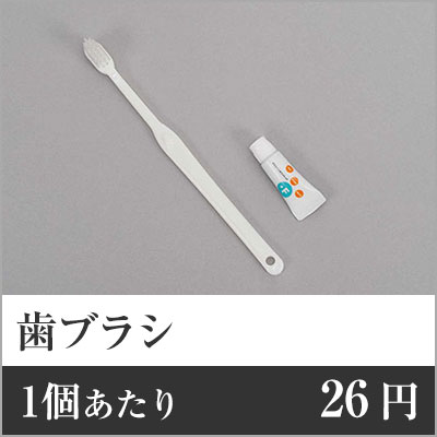 【業務用まとめセット】【1個あたり：26円】歯ブラシ TB-003 【1000個セット】 歯ブラシセット 歯ブラシ 使い捨て 歯ブラシ ホテル 歯ブラシ トラベル 歯ブラシ 袋入り 歯ブラシ まとめ買い 歯ブラシ アメニティ 歯ブラシ 旅行 ro