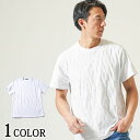 メンズ 半袖 tシャツ 春 夏 ジャガード クルーネック メンズシャツ シャツメンズ 春服 夏服 白 メンズ白シャツ 半袖シャツ クルーネックシャツ 40代 50代 メンズファッション ファッション 40代メンズtシャツ メンズ白tシャツ 白シャツ ちょいワルオヤジ イケオジ おしゃれ