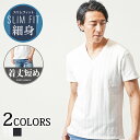 vネック tシャツ メンズ カットソー vネックtシャツメンズ vネックカットソー メンズvネックtシャツ トップス メンズtシャツ ストレッチ vネック半袖 夏服 白tシャツ 夏 メンズ無地tシャツ 半袖シャツ メンズ夏シャツ 春夏 半袖 カットソーメンズ メンズ半袖無地tシャツ