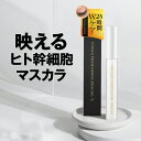 【90%OFF】 マスカラ 【エターナルプログラミングマスカラ】 ブラック ウォータープルーフ ヒト幹細胞培養液 配合 ボリューム マスカラ美容液 マスカラ下地 眉 人気ランキング 送料無料 あす楽