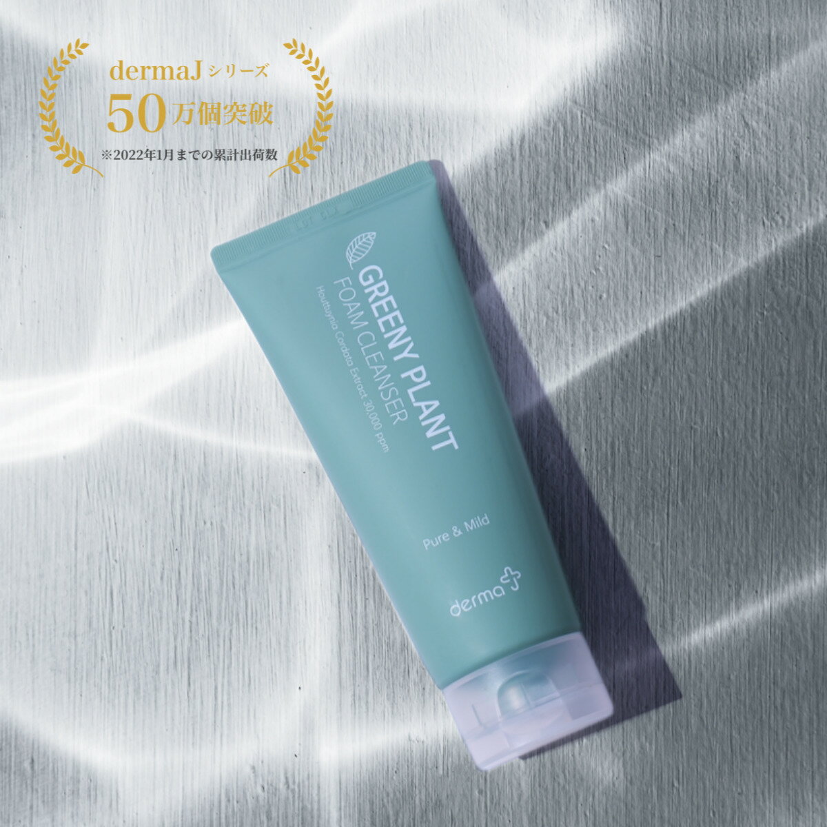 ★2024年新商品★ クレンジング 韓国 DermaJ公式 グリニープラントホームクレンザー 敏感肌 韓国コスメ 洗顔フォーム 低刺激 ダーマJ ドクターズコスメ ダーマコスメティック スキンケア つやつや肌 健康的な肌 エイジングケア キメ 送料無料のサムネイル