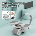 エクササイズクッションpurefit ピュアフィット ストレッチネックボディ PF7500 レッド ブルー エクササイズ 【代引き不可】