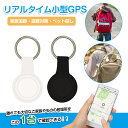 \限定価格/ Findmytag【超小型GPS・月額不要】【家族追跡・盗難対策・ペット探し】GPS発信機(月額不要)GPS追跡 GPS追跡 小型GPS GPS ...