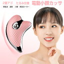 かっさプレート かっさ 美顔器 電動 かっさ 美容ローラー振動 温感 マイクロカレント 微電流 温熱 小顔 美顔ローラー イオン導入 電動かっさ かっさマッサージ USB充電 携帯便利 自宅 全身 プレゼント