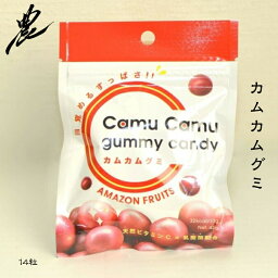 カムカムグミ 14粒 グミ お菓子 ビタミンC 乳酸菌 ギフト プレゼント 健康 おやつ