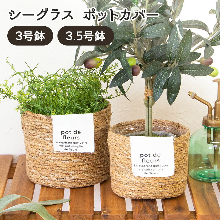 楽天市場】流木（植木鉢・プランターカバー｜植木鉢・プランター