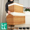 フタ付き かご 収納 バスケット LL L2