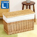 フタ付き うす型 壁面収納 バスケッ