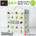 楽天MERCATO GIRAUD 楽天市場店箱ワイン 白 バックインボックス BIB 5L 大容量 お試し お得 家飲み ボックスワイン 毎日 晩酌 イタリア アブルッツォ 5000ml 【FRENTANA 白 BIB】