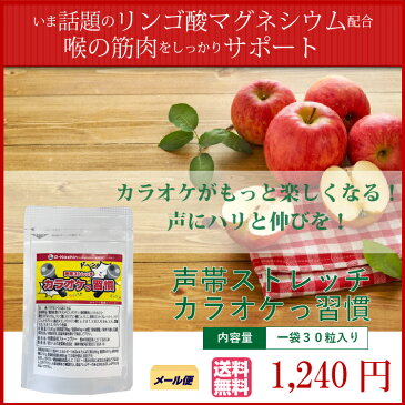話題沸騰中の【リンゴ酸マグネシウム】配合!枯れ声やいびきの声帯筋ストレッチサプリ【カラオケ習慣】1袋30粒入りカラオケ 歌 歌唱 忘年会 新年会 二次会 三次会 結婚式 パーティ 成人式 余興 年末年始