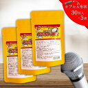 【カラオケ習慣1袋30粒入り×3袋セット(計90粒)】カラオケ 歌 歌唱 忘年会 新年会 二次会 三次会 結婚式 パーティ 成人式 余興