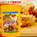 【のどっケア習慣30粒入1袋】〔声帯 のどケア プロポリス サプリメント〕みつばち アミノ酸 ケルセチン ミネラル ビタミンE ミツバチ