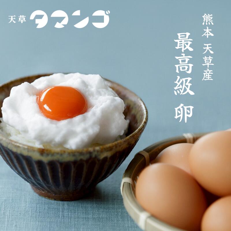 【天草 タマンゴ】メディア話題の高級卵|マンゴー100%飼料で育てた濃厚...