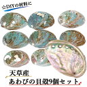 【天草産 あわびの貝殻9個セット】天草 あわび 鮑 アワビ 貝 シェル パーツ インテリア アクセサリー DIY