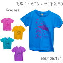 【天草イルカTシャツ(子ども用)】天草 イルカ Tシャツ 綿100% 道の駅 限定 民宿 子ども キッズ 100 120 140
