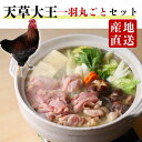 【天草大王 地鶏 鶏肉 一羽丸ごとセット】贈り物 ギフト 産地直送グルメ お取り寄せ 冷蔵 とりにく 地鶏 チキン 高タンパク 小分け 熊本 鶏肉 モモ肉 ムネ...