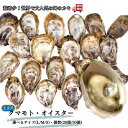 超希少! 幻のカキ【クマモト・オイスター 生食用 選べるサイズ(L/M/S)・個数(20個/30個)】送料無料 生牡蠣 生カキ オイスター 焼牡蠣 蒸し牡蠣 カ...