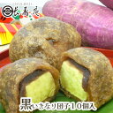 【 黒 いきなり団子 10個 入り 】熊本 お土産 長寿庵 熊本名物 熊本銘菓 肥後銘菓 芋 さつまいも サツマイモ お菓子 和菓子 お茶菓子 プレゼント 贈り物 おすすめ 黒糖 沖縄 内祝い 結婚祝い 秘密のケンミンshow極で紹介 母の日