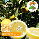 久玉果樹園【あまくさ