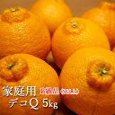 久玉果樹園【デコQ家庭用B級品5kg(S以上)】熊本 熊本県産 天草 牛深 デコポン 甘い ギフト プレゼント 内祝い 熊本土産 箱 箱買い ジューシー 果樹園 産地直送 お彼岸 かんきつ