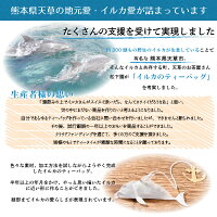 イルカの形のティーバッグお試しサイズ4パック矢部茶(玉緑茶)1袋、ブルーマロウ1袋ルイボスティー1袋エルダーフラワーティー1袋熊本県天草お土産ハーブティー緑茶珍しいイルカ熊本土産贈り物ギフトプレゼントレモングラスカモマイル