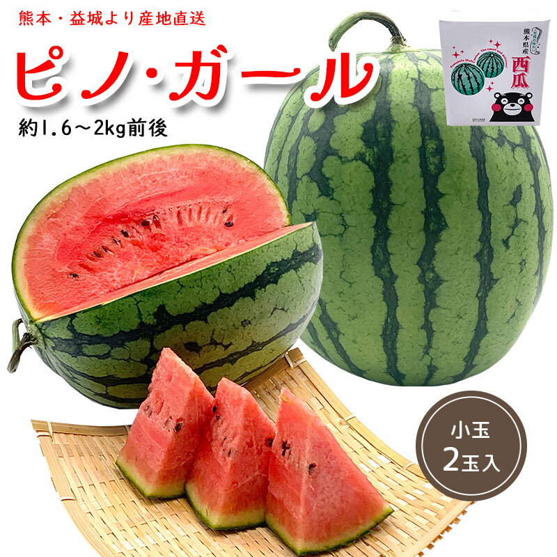 ＼1週間限定販売／5月23日(火)16:00まで【守山さんちのすいか ピノ・ガール Lサイズ 小玉2玉入り 】スイカ すいか 西瓜 熊本 産地直送 熊本県産 2玉 小玉 約1.6～2kg前後 甘い 糖度 13度前後 夏 シェア シャリ フルーツ 果物 お取り寄せ 旬の プレゼント 限定　ピノガールのサムネイル