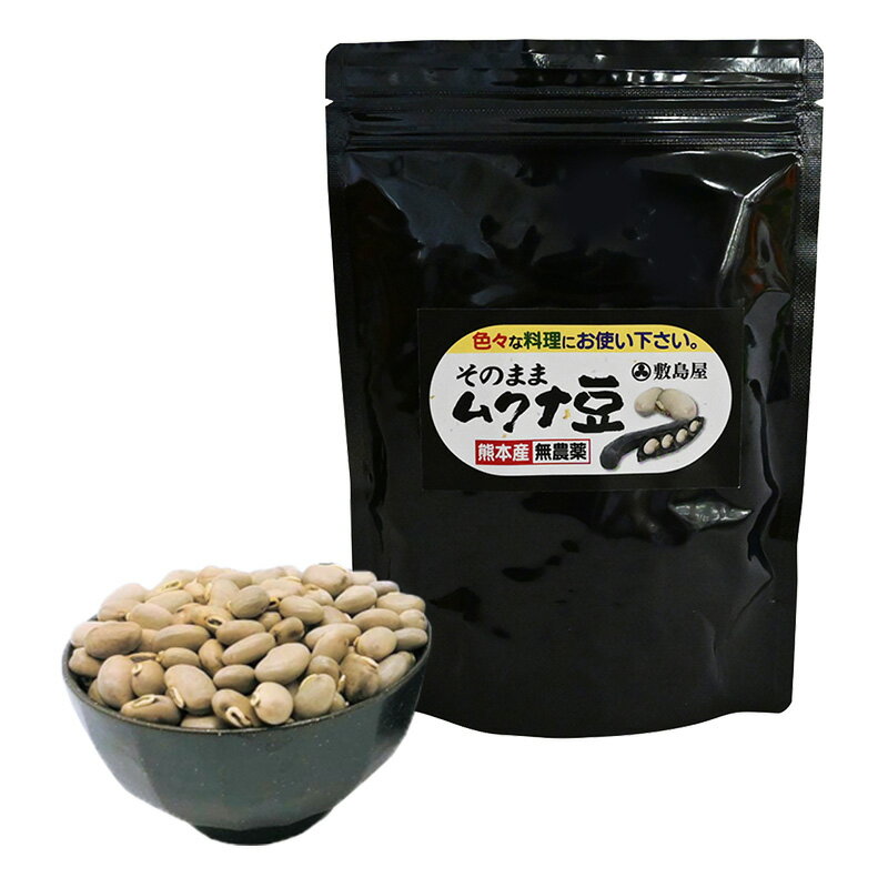 1kg GABAN 松の実 ギャバン マツの実 pine nut パイン ナッツ おつまみ 美容 肌荒れ改善 無添加 無塩 ナチュラル