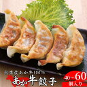 【獲得P5倍キャンペーン】【 熊本 和牛 あか牛 ぎょうざ 】餃子 ギョウザ 甲誠牛 国産 冷凍 和牛100% 阿蘇 熊本名物 お取り寄せ 内祝い 贈答用 三協...