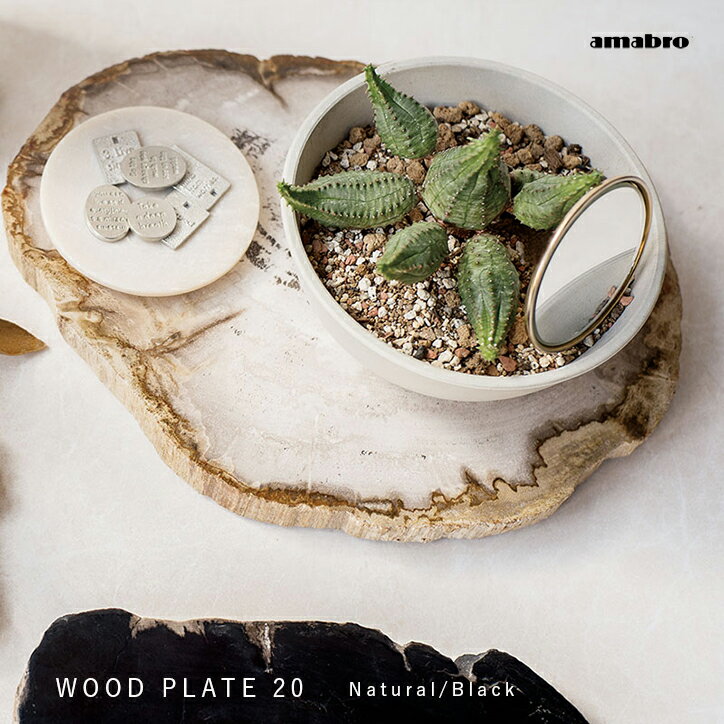 アマブロ ウッドプレート 20 amabro WOOD PLATE 20 珪化木 化石 木製 プレート ナチュラル ブラック 鍋敷き トレー アクセサリートレイ 北欧 ナチュラル モダン 和風 おしゃれ インテリア イン…