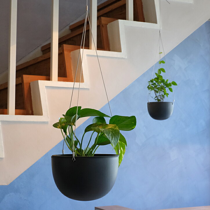 360度 どこから見ても美しい スマートにグリーンを楽しみたい 私の選択 Kinto キントー プラントポット L Plant Pot F17 ベージュ ブラック 黒 プランターハンギングプランター 観葉植物 吊り鉢 吊り下げ プラントハンガー 鉢カバー 格安saleスタート 多肉植物 屋内 360度 どこから見ても美しい スマートにグリーンを楽しみたい 私の選択 Kinto キントー プラントポット L Plant Pot F17 ベージュ ブラック 黒 プランターハンギングプランター 観葉植物 吊り鉢 吊り下げ プラントハンガー 鉢カバー 格安saleスタート 多肉植物 屋内