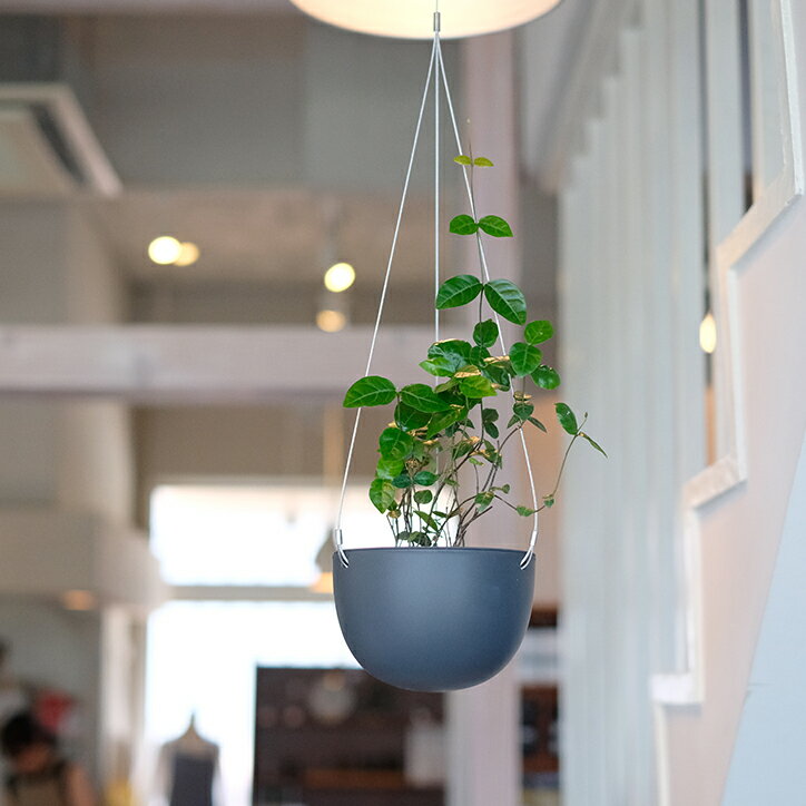 360度 どこから見ても美しい スマートにグリーンを楽しみたい 私の選択 Kinto キントー プラントポット S Plant Pot F14 ベージュ ブラック 黒 プランターハンギングプランター 室内 観葉植物 吊り鉢 植木鉢 底穴 おしゃれ 多肉植物 鉢カバー シンプル 最大58 オフ 360度 どこから見ても美しい スマートにグリーンを楽しみたい 私の選択 Kinto キントー プラントポット S Plant Pot F14 ベージュ ブラック 黒 プランターハンギングプランター 室内 観葉植物 吊り鉢 植木鉢 底穴 おしゃれ 多肉植物 鉢カバー シンプル 最大58 オフ