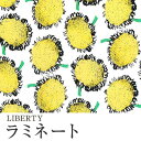 LIBERTYリバティプリント 国産つや消しラミネート(ビニールコーティング生地)【復刻コレクション】＜Baby Bloom＞(ベビー ブルーム)MATLAMI3639101-99BT