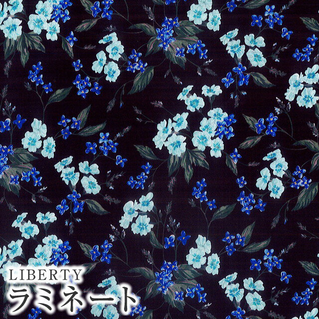 LIBERTYリバティプリント・国産つや消しラミネート(ビニールコーティング生地)【2019AW English Orchard Collection】＜Yorkshire Meadow＞(ヨークシャー・メドウ)MATLAMI-DC30106-J19Dのサムネイル