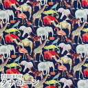 LIBERTYリバティプリント 国産タナローン生地＜Queue for the Zoo＞(キューフォーザズー)3634160-J15F リバティ 生地