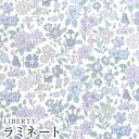 LIBERTYリバティプリント 国産つや消しラミネート(ビニールコーティング生地)＜Annabella＞(アナベラ)MATLAMI36300126-J21D