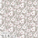 【エントリーでP19倍】LIBERTYリバティプリント 国産つや消しラミネート(ビニールコーティング生地)【エターナル】<May Morris>(メイモリス)【ピンク&グリーン】MATLAMI1229214YE(3)