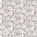 LIBERTYリバティプリント 国産つや消しラミネート(ビニールコーティング生地)【エターナル】＜May Morris＞(メイモリス)【ピンク＆グリーン】MATLAMI1229214YE