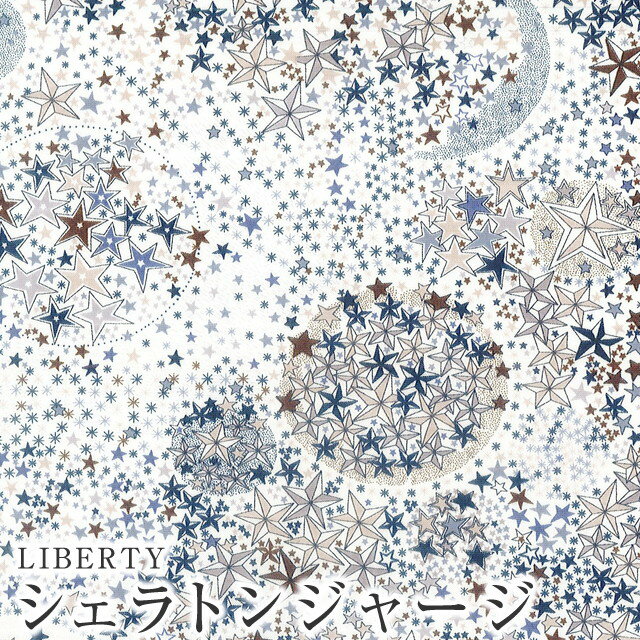 LIBERTYリバティプリント 国産シェラトンジャージ(タナジャージ)生地 60/2天竺＜Adelajda＞(アデラジャ)3631256LBK