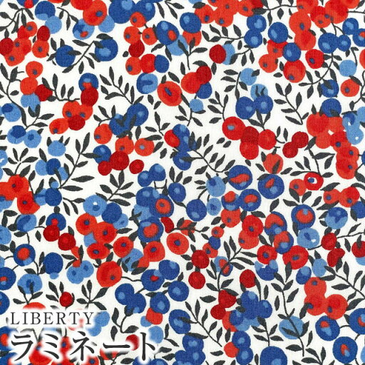 【エントリーでP10倍】LIBERTYリバティプリント 国産つや消しラミネート(ビニールコーティング生地)【エターナル】<Wilt Shire>(ウィルトシャー)MATLAMI3339009UE 【エントリーでP10倍】LIBERTYリバティプリント 国産つや消しラミネート(ビニールコーティング生地)【エターナル】<Wilt Shire>(ウィルトシャー)MATLAMI3339009UE