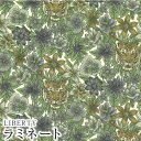 LIBERTYリバティプリント 国産つや消しラミネート(ビニールコーティング生地)<Scotty's Tiger>(スコッティーズタイガー)【オリーブグリーン】...