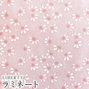 【エントリーでP10倍】LIBERTYリバティプリント イタリア製つや消しラミネート(ビニールコーティング生地)<Nordic Daisy>(ノルディックデイジー)《ライトピンク》MATLAMI3636423-A【2022SS FLORALOVE COLLECTION】